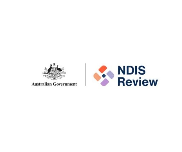 NDIS Review Feedback Report