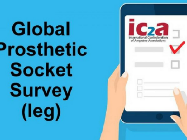 Global Prosthetic Socket Survey (leg)