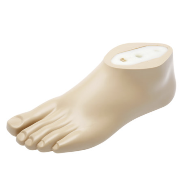 Robust natural looking foot suitable for older users.